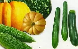 瓜老怎么吃,解锁传统美味的新吃法