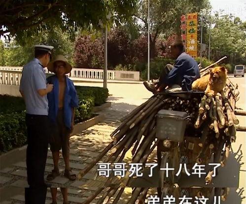 谭乔吃瓜,揭秘娱乐圈幕后故事