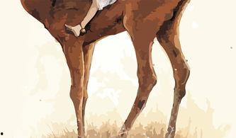 吃瓜少女麋鹿,揭秘娱乐圈背后的甜蜜与苦涩