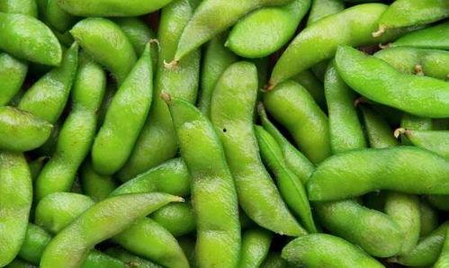 哈密瓜能与毛豆吃