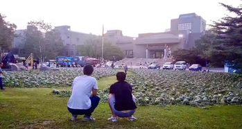 项城近期吃瓜事件,揭秘近期网络热议事件背后的真相