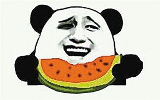 弗兰克吃瓜吃到自己,弗兰克的意外瓜界奇遇