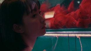 少女吃瓜后续,揭秘背后真相与网络舆论风暴