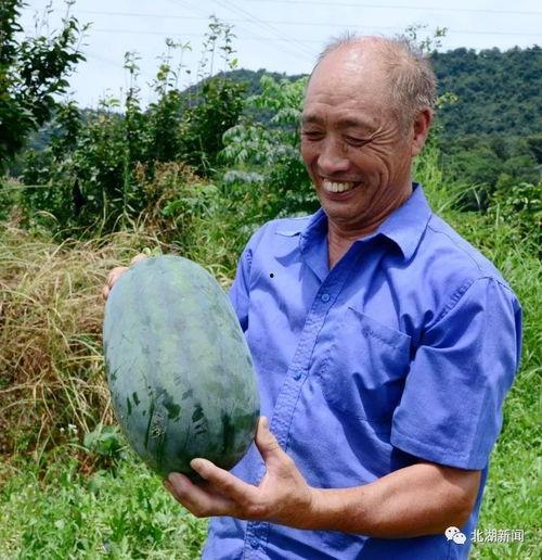郴州 男子吃瓜事件