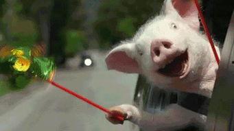 吃瓜群众牧小一,揭秘吃瓜群众的趣味生活