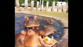 毫无感情吃瓜群众,吃瓜群众视角下的社会百态