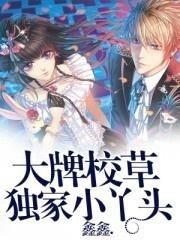 吃瓜鑫鑫小说,揭秘娱乐圈背后的秘密与真相