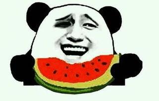 吃瓜是什么视频