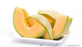 丹丹吃哈密瓜全集,甜蜜回忆与成长篇章