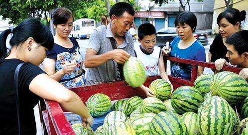 吃瓜摆地摊,吃瓜摆地摊，感受市井烟火气