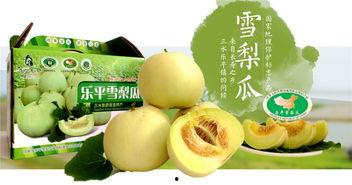 广东雪梨瓜怎么吃