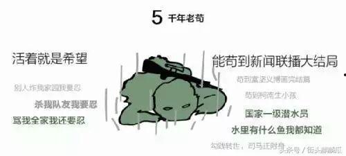 带你吃瓜黑色鸡