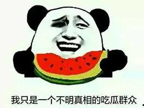 热门吃瓜群号,带你领略网络八卦风云