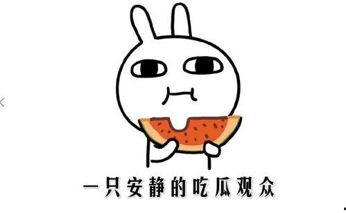 求瓜吃啥意思,探寻“求瓜吃”背后的趣味与智慧