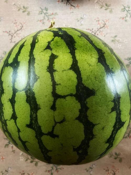 编导吃瓜的表演,一场视觉盛宴的喜剧演绎