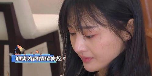 郑爽吃瓜的事情,娱乐圈的瓜田效应